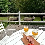 Chez Tio Pere - 12 Personnes בית נופש